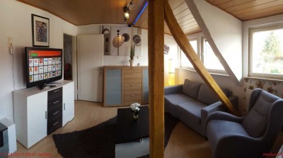 Voll ausgestattetes schönes 2.5 Zimmer Apartment inkl. Internet, Strom, TV, Heizung, Wasser!!