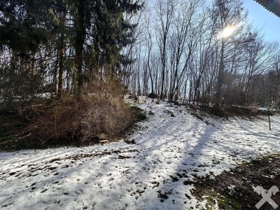 Sanierte 2-Zimmer-Wohnung direkt am Leechwald und Nähe LKH