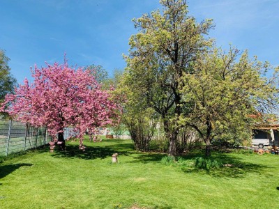 Haus mit traumhaftem Garten in Lanzendorf | 6 Zimmer, 4 Autostellplätze | Auch als Mehrfamilienhaus nutzbar | Am Naherholungsgebiet Zayawiesen