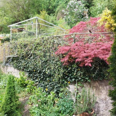 Wunderschöne ruhige 3-Zimmer Wohnung mit Garten in Trostberg