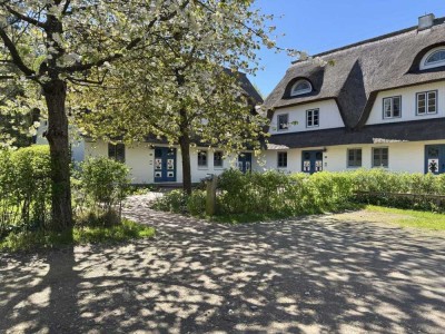 Maisonette-Ferienwohnung, gleich hinterm Ostseedeich