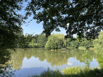 Neu sanierte 2 Zimmerwohnung mit Balkon!