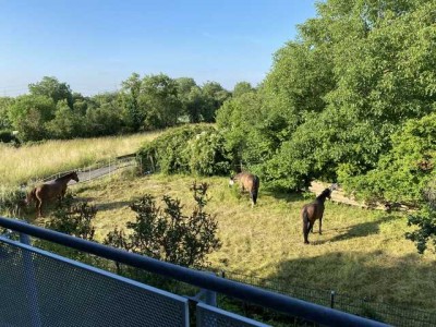 PRIVAT: Exklusive 3-Zimmer-Wohnung in Feldrandlage – Stilvoll, modern, mit 2 Bädern u. großzü.Balkon