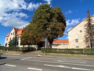 Ein Ort zum Träumen - Dreiseitenhof sucht neues Leben!