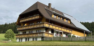 Schöne 3 Zimmerwohnung mit großem Balkon und Terasse in Breitnau