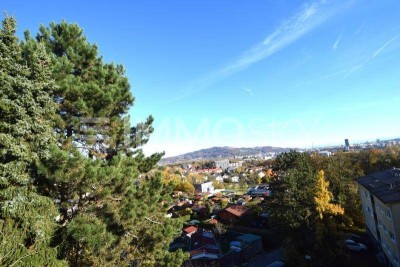 Charmante XXL-Wohnung beste Lage Urfahr - Traumaussicht, ruhig, grün