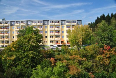 Service-Wohnen / 1-Zimmer-Wohnung mit Balkon WE 2.08