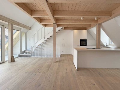 Erstbezug: Moderne 3,5 Zi.-Maisonette, KfW-55 Neubau, Galerie & sonnige Dachterrasse mit Burgblick