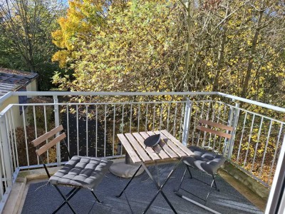 Helle 2-Zi Whg mit neuer EBK und Südbalkon