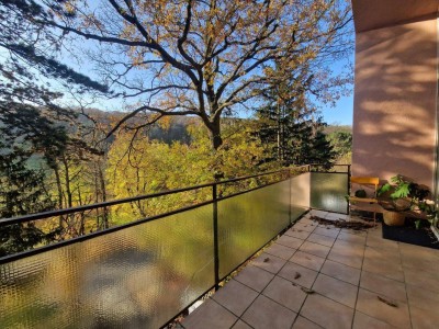PÖTZLEINSDORFER PARK - LOFTARTIGE ARCHITEKTENWOHNUNG - TRAUMHAFTE LAGE - GRÜNBLICK - 4 ZIMMER + grosser BALKON