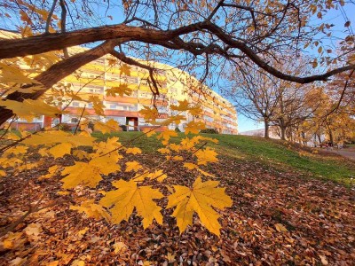 Was für ein Ausblick! Sanierte 2-Raum-Wohnung mit verglastem Balkon u. Badewanne in gut...