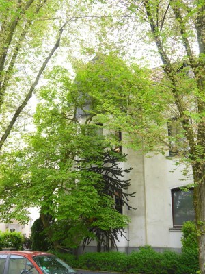 E-Stadtwald, 1 Fam.Haus, 192m² Wfl., Altbau aus Bj. 1910, Renovierungsbedarf
