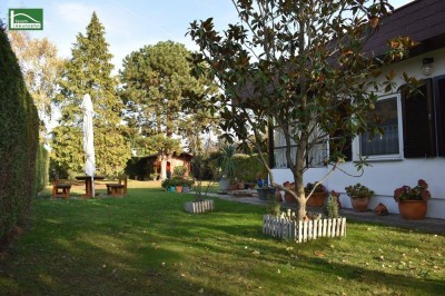 Traumhaftes Bungalow in Trausdorf: 60m² Wohnfläche, Terrasse, Carport und mehr für nur 179.000,00 €!