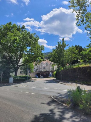 Leerstehende 3-ZKB mit Doppelparkerstellplatz in Heidelberg-Schlierbach in der Nähe des Neckars.