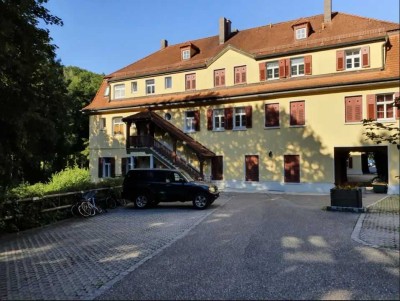 1-Zimmer Wohnung in Sinzing / saniert im Januar 2025