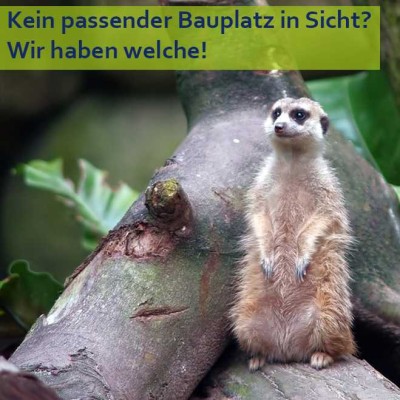 Die Steinzeit ist vorbei! Energieeffizient Bauen.