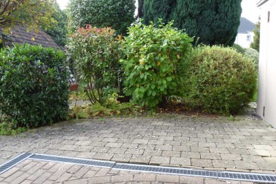 GANZ ZENTRAL! Hübsche 1-Zimmer-Einliegerwohnung mit Terrasse mitten in Horgenzell