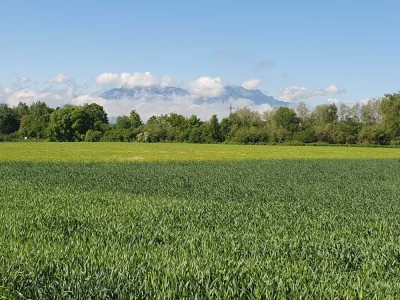 Sie suchen Ruhe und Entspannung! Ruhig gelegene Doppelhaushälfte zu verkaufen