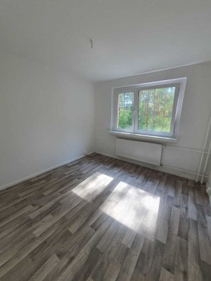 Erstbezug nach Sanierung! 4 Zi.Whg. mit Balkon in Walddrehna