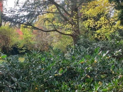 Wohnen umgeben von Natur in der besten Lage von Krailling und mit super Anbindung! Provisionsfrei