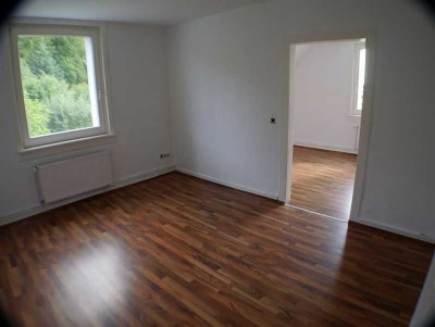 Gepflegte Dachwhg. am Ortsrand Wi-Rambach! 2 ZKB -41 m² mit EBK + Laminat € 580,- + NK