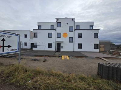 Moderne 2-Zimmer-Wohnung in Teesdorf: Terrasse, zwei Stellplätze &amp; Glasfaser für 250.000 €!