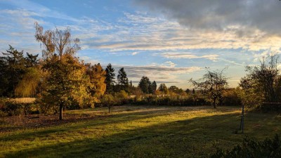 Halbrenoviertes Einfamilienhaus mit riesigem Garten direkt am Stadtwald