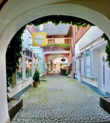 Renovierte 3 Zimmer Wohnung in zentraler Lage in Neunkirchen zu mieten!