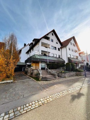 Zwischen Weinbergen und Burg Schaubeck -Schöne 3-Zi.-Dachgeschoss-Wohnung in Kleinbottwar