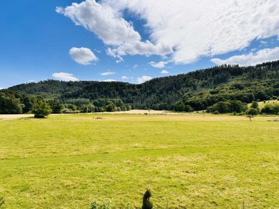 Exklusive 5-Zimmer Wohnung mit traumhaften Ausblick