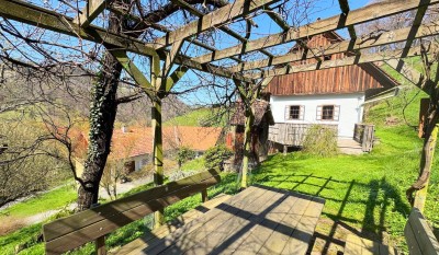 Paradies in der Südsteiermark