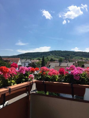 Sanierte, großzügige und moderne 3,5-Zimmer-Wohnung mit Balkon