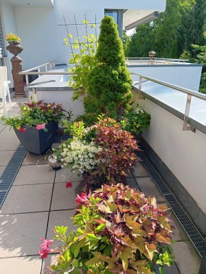 WALDTRUDERING*** Luxuriöse 4-Zimmer-Dachterrassen-Penthouse-Wohnung***