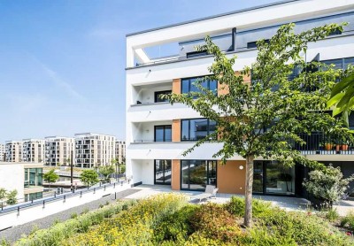 Gefragte 2-Zimmerwohnung mit großer Terrasse im Hafenzentrum