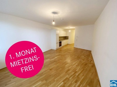 Nachhaltig Wohnen: Wohnen in THE FAVE am Laaer Wald!