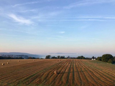 Wohnen auf dem Wendelinushof