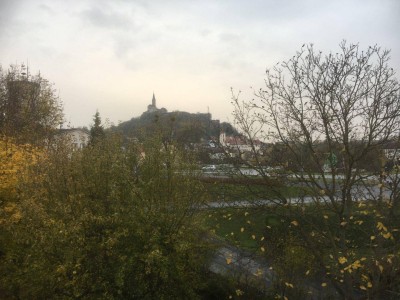 Schöne, große Wohnung mit Balkonblick zur Burg