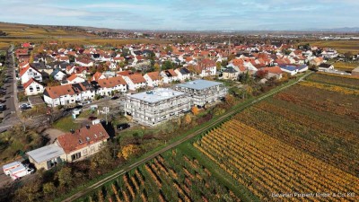 Neubau-Penthouse mit XL-Dachterrasse – 3-Zimmer-Eigentumswohnung in Sausenheim