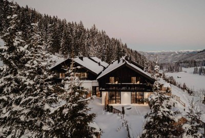 Birgkar - Mountain Hideaway Lodge 3 - Wacholder