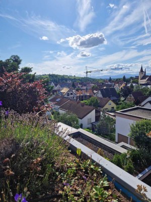 Schöne 3,5-Zimmer-Terrassenwohnung mit geh. Innenausstattung mit Balkon und EBK