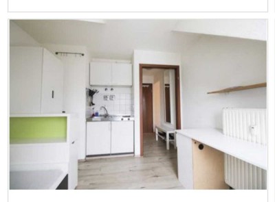 1 Zi Dachterassenwohnung mit Bad, 17 qm, teilmöbliert in Mannheim (Neckarstadt)