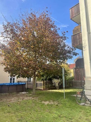 Ein Blick zum verlieben-Wohnung in Radebeul