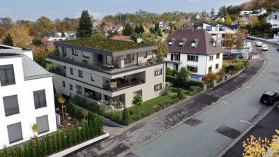 Leben am Godelsberg - Geschmackvolle-Penthouse -Wohnung-Klimaanlage-Aschaffenburg