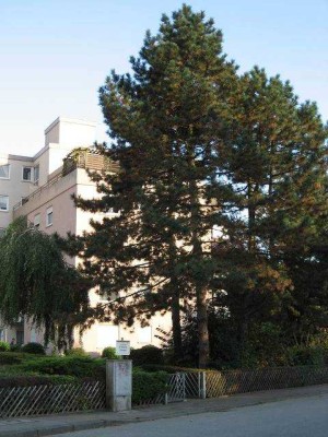 2-Zim. Wg. renoviert, parkähnliche Umgeb., gr. Balkon, seniorengerecht in gepflegter Anlage