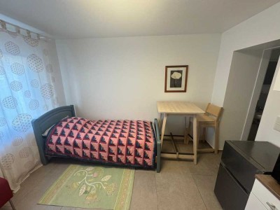möblierte 1-Zimmer Apartment im EG in Trier-Zewen