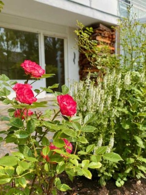 Einladendes Reihenendhaus mit sonnigem Garten