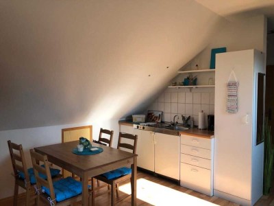 Helle, ansprechende 1-Raum-DG-Wohnung in Edenkoben