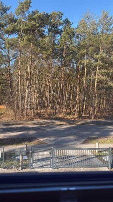 4 - Raum Wohnung mit großer Terrasee und Garten, Alleinnutzung