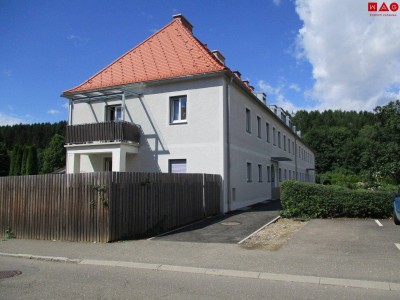 Geräumige Eigentumswohnung mit Balkon &amp; Garten!