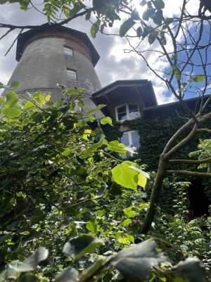 Historische Mühle mit Anbauten und Garagen im Herzen von Friedland